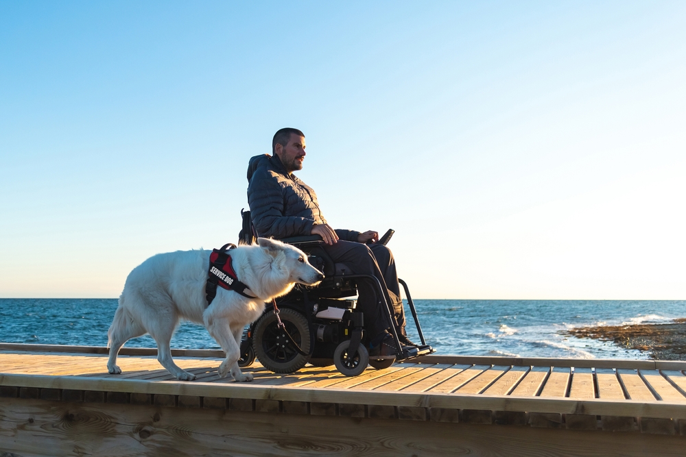 Photo of Man and Service Animal Near the Ocean